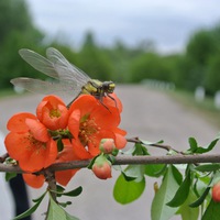 Евгения Картуз(Сидельник)