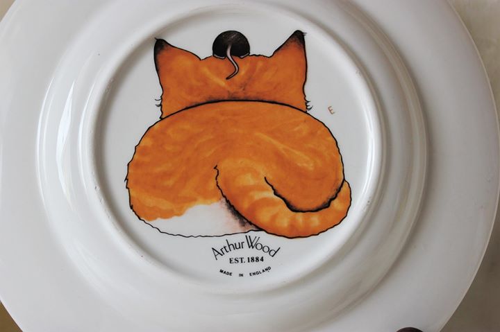 Кошки в нашей жизни. Кошки и все, что с ними связано.