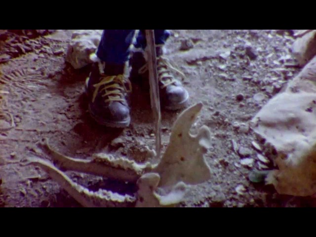 Balmorhea Jubi (Official Film)