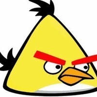 Дмитрий Птица | Москва