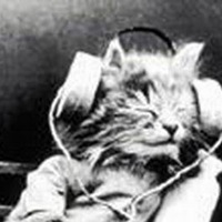 Роман Костин