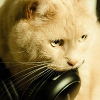 Александр Орлов