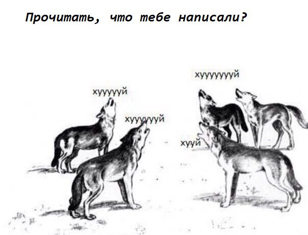 bSagdRD2A-E.jpg