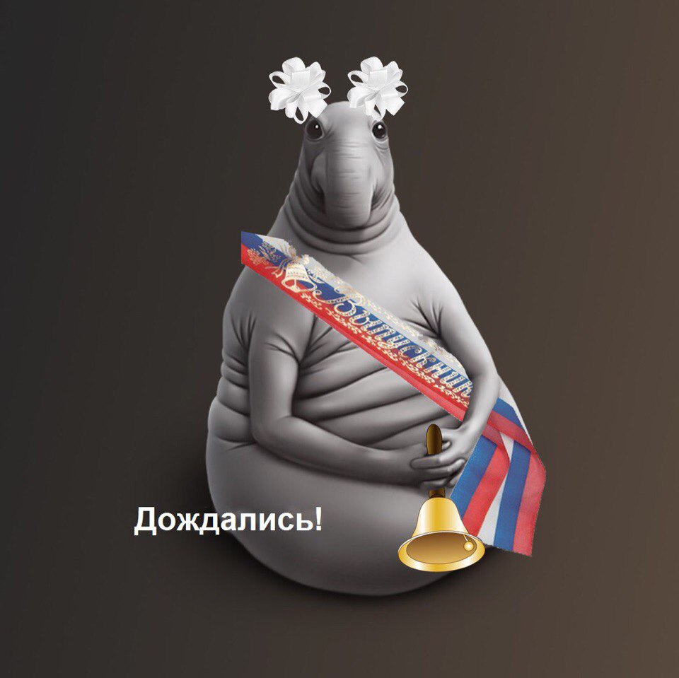 Картинки ну наконец то прикольные