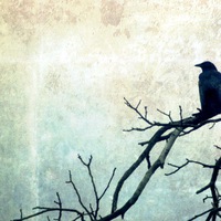 Алексей Петров