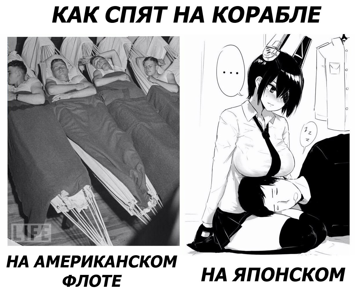 TOBZG92FnzI.jpg