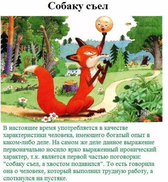 https://pp.userapi.com/c837439/v837439306/36a5e/rEaWVcU31Qw.jpg