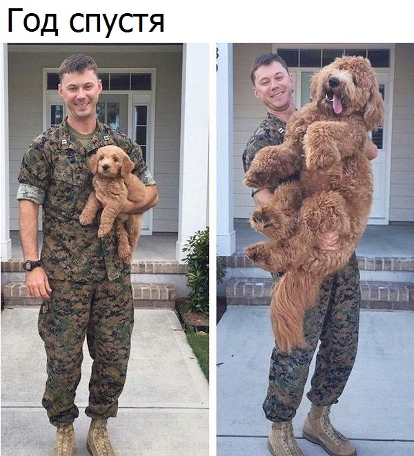 https://pp.userapi.com/c837439/v837439306/36b39/6OqPtOxk2VU.jpg