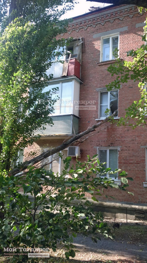 В Таганроге засохший тополь упал на трехэтажку и пробил окно в квартире