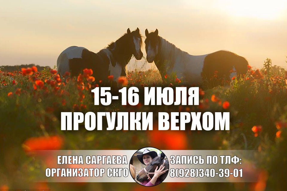 Афиша Пятигорск Верхом по цветущим полям