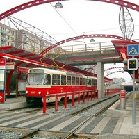 Миха Строев