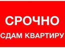 Объявление от Татьяна - фото №1