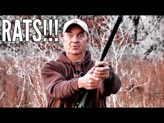 Hunting Texas Rats at night with Gamo Air Rifles