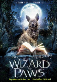 Волшебные лапы / Удивительный волшебник из Лапы / The Amazing Wizard of Paws (2015) Волшебные лапы / Удивительный волшебник из Лапы / The Amazing Wizard of Paws (2015)