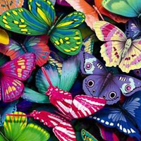 Наталья Ярославцева | Красноборск