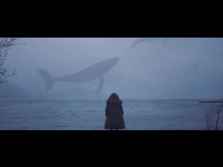 Ludovico_Einaudi_-_Experience