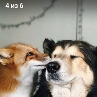 Дарья Саломатова | Магнитогорск