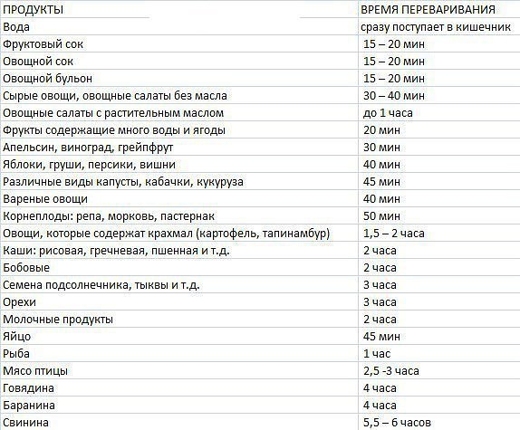 Время переваривания пищи в желудке человека