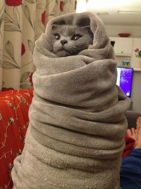 Доброе летние утро
