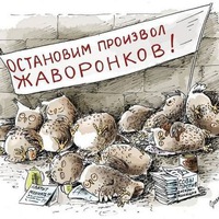 Никитус Иванников