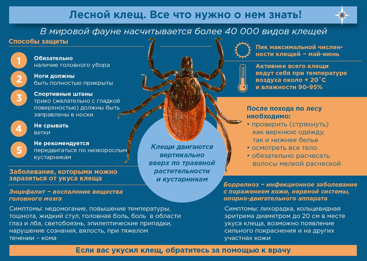 ОГПС Приозерского района