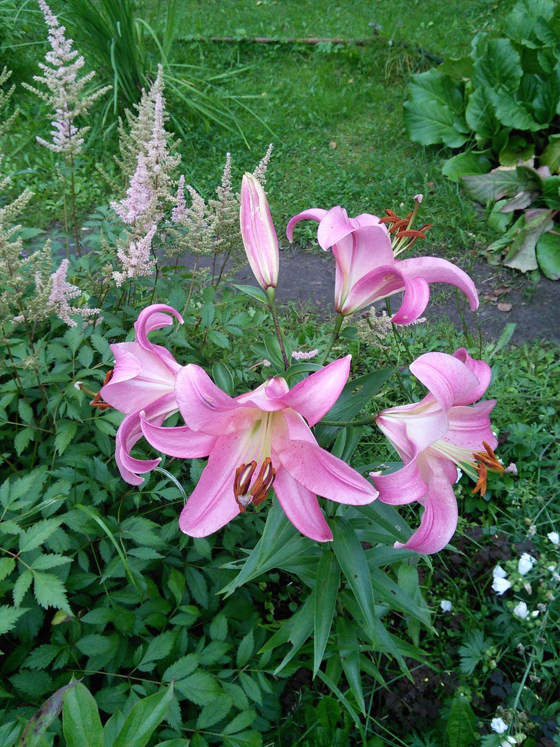 фотография из вКонтакта