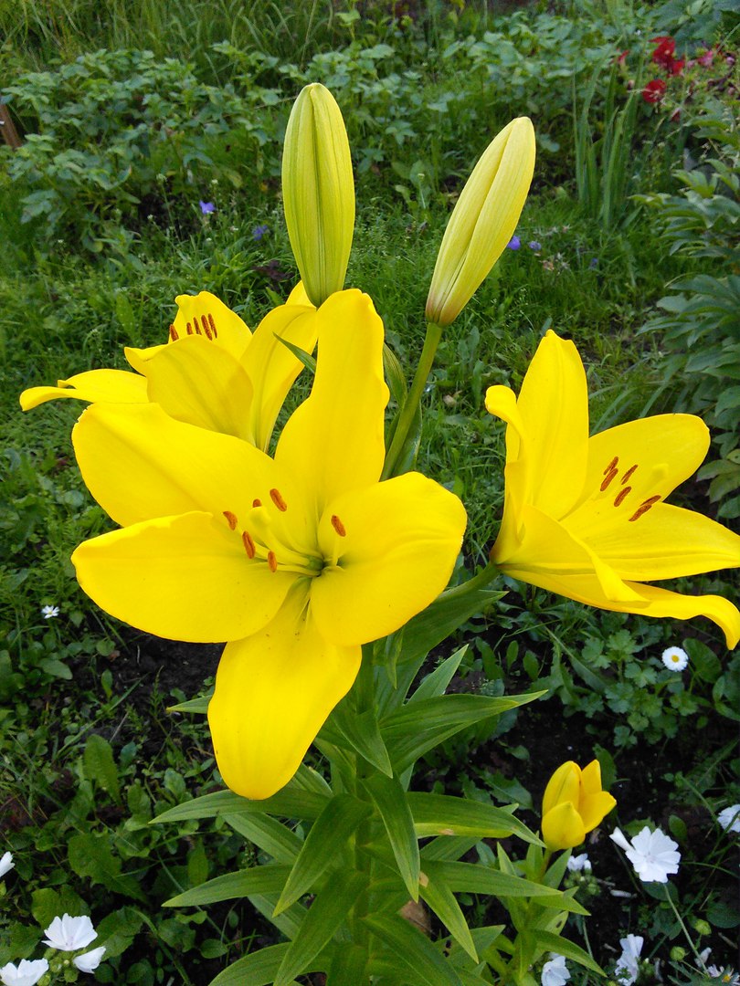 фотография из вКонтакта