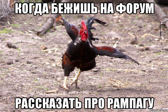 qPyuz-p3piM.jpg