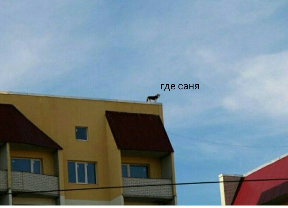 jlSi2rYxXYU.jpg