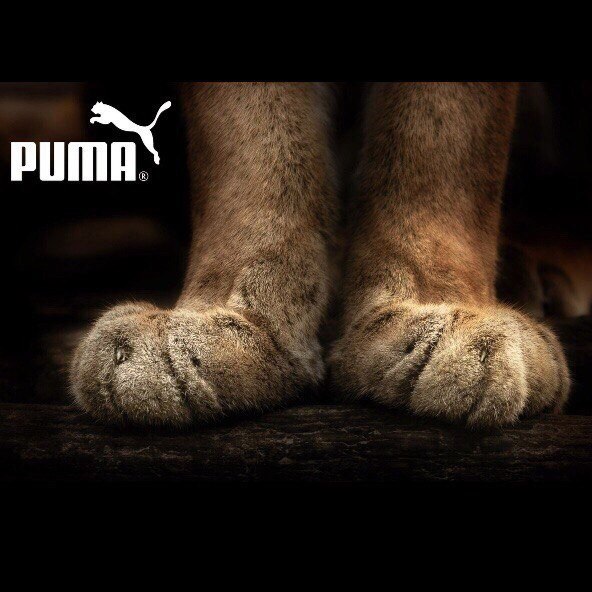 Дидар Базаралинов, Казахстан, Павлодар