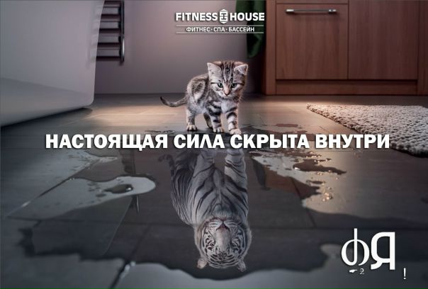 #fitnesshouse #fitness #фитнесхаус #замнойвспортзал #fitnessINFORM #головоломкаиюнь #мотивацияfhclub