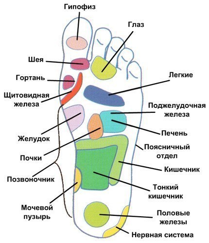 ОЗДОРОВЛЕНИЕ ОРГАНИЗМА ВАННОЧКАМИ ДЛЯ НОГ 