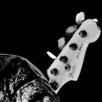 Ник Августов