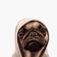 Эрик Галиев