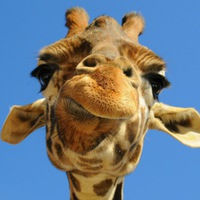 Тамира Ланская