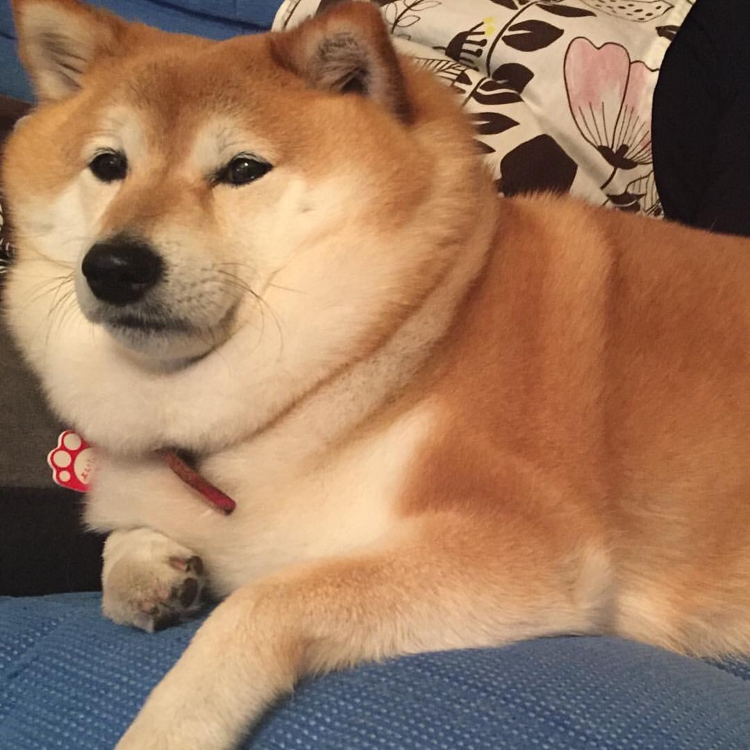 WEmJToj5W_E.jpg