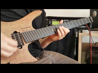 Strandberg Boden Plini 2017