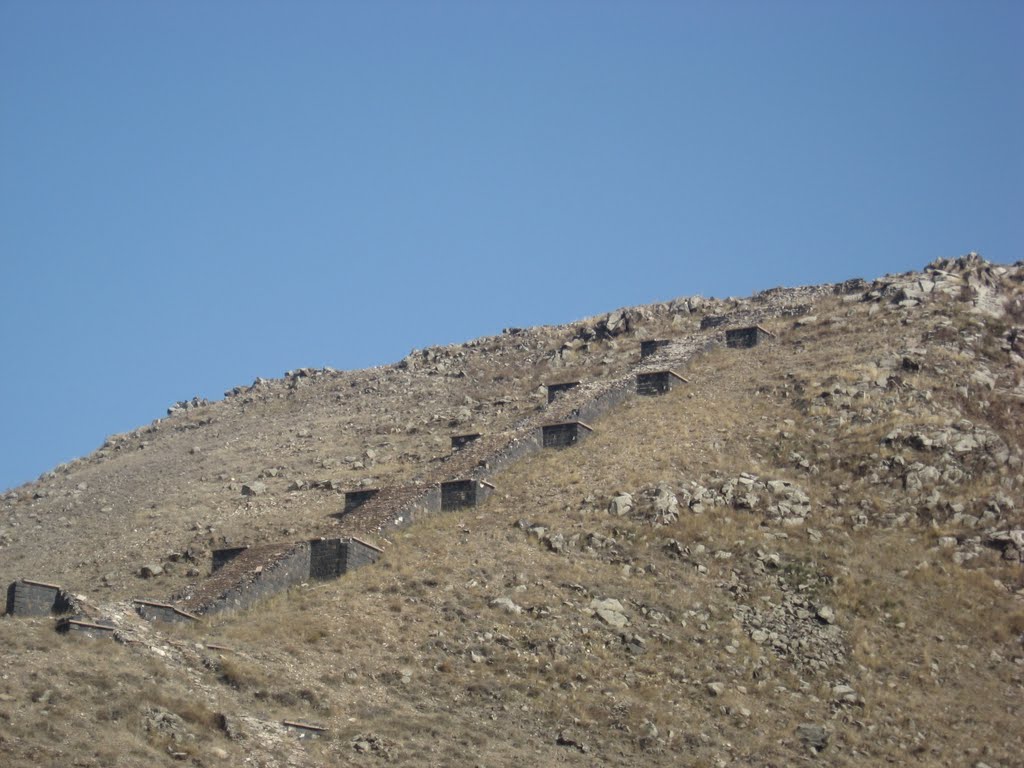 https://pp.userapi.com/c837625/v837625265/7d15d/2mRGn7ErAQ4.jpg