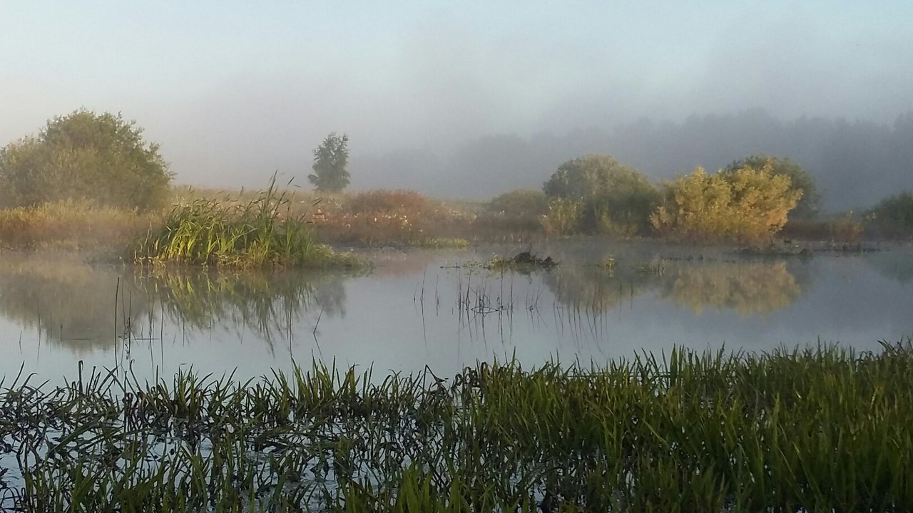 [Изображение: 2fcQ37jiFfU.jpg]