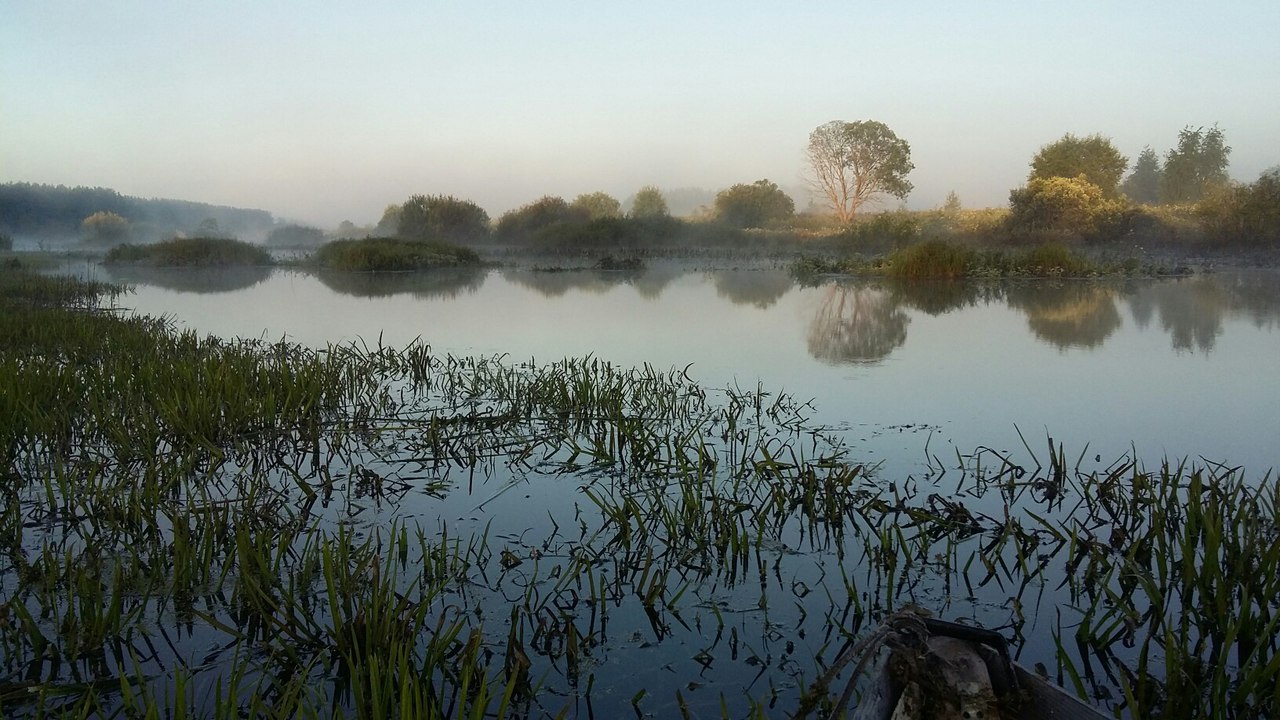 [Изображение: C5fVFlNHgz0.jpg]