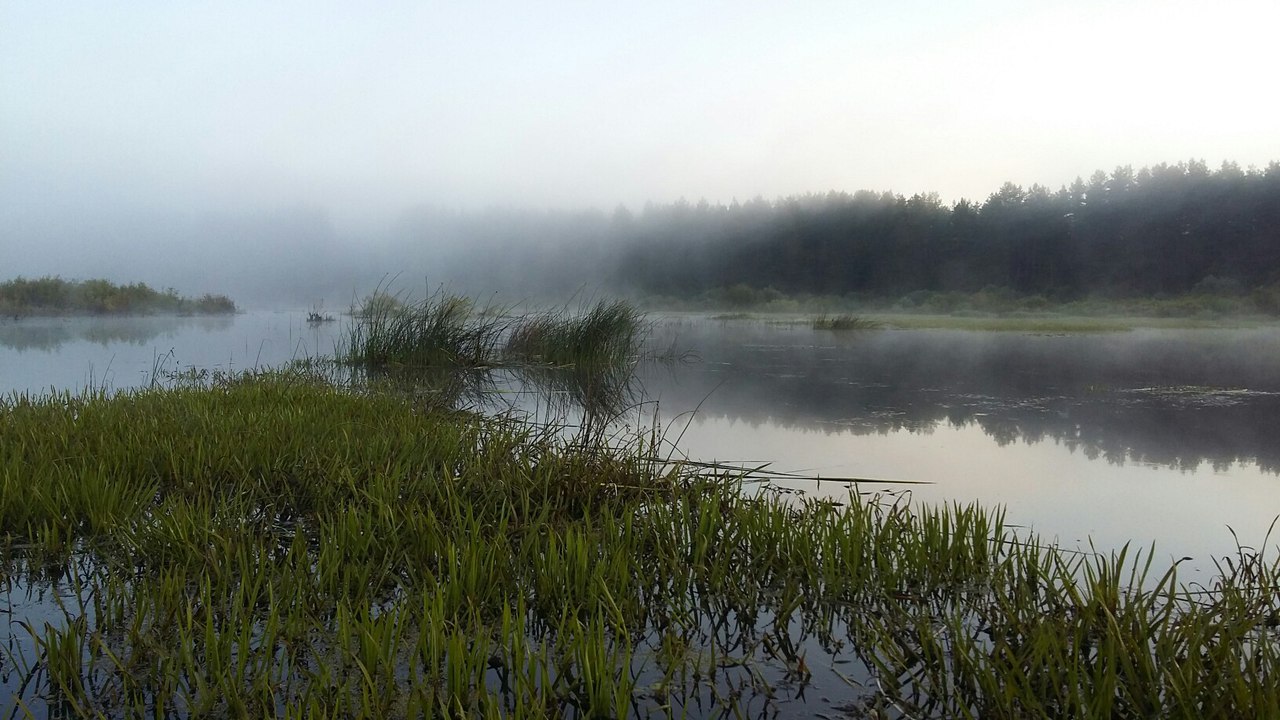 [Изображение: dZHeOWdSm1o.jpg]