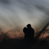 Николай Мирошин