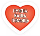 Объявление от Лана - фото №1