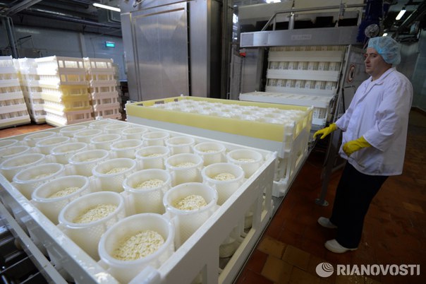 Россия разрешила импорт мяса и молока с двух белорусских предприятий: 