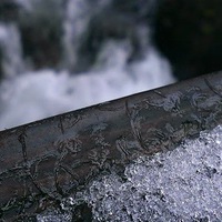 Жессика Паркер