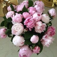 Инна Турунтаева