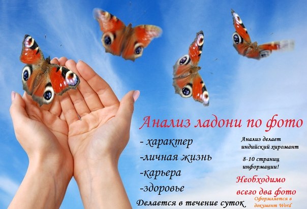 Заказы принимаются! <br>vk.com/hiro29 - Группа с информацией и отзывами! - фото Фото: Заказы принимаются! <br>vk.com/hiro29 - Группа с информацией и отзывами!