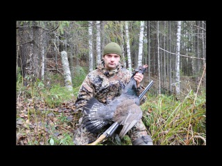 Охота на глухаря осенью с подхода. Ружье ИЖ-54.