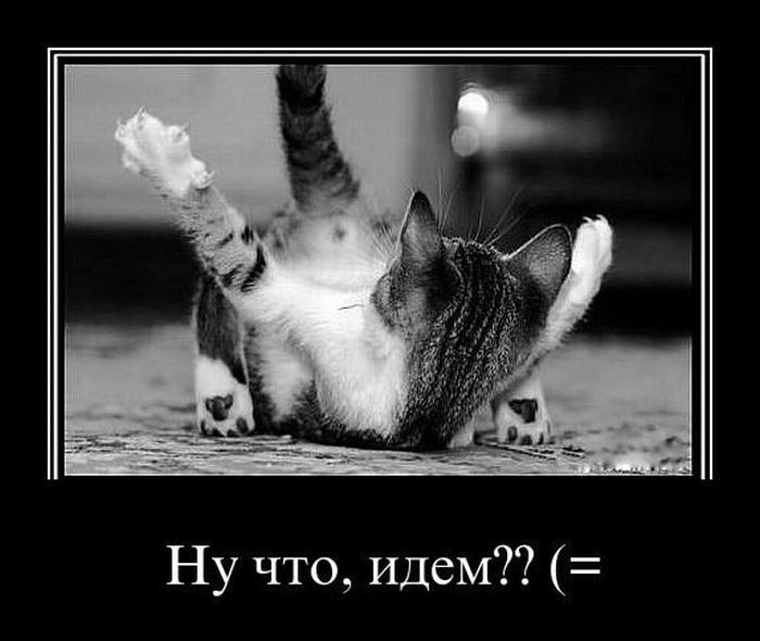 С кем надо встречаться F A Q (мэ жо) 2 - БлогЕлена Колоскова