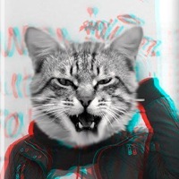 Дмитрий Кара | 
